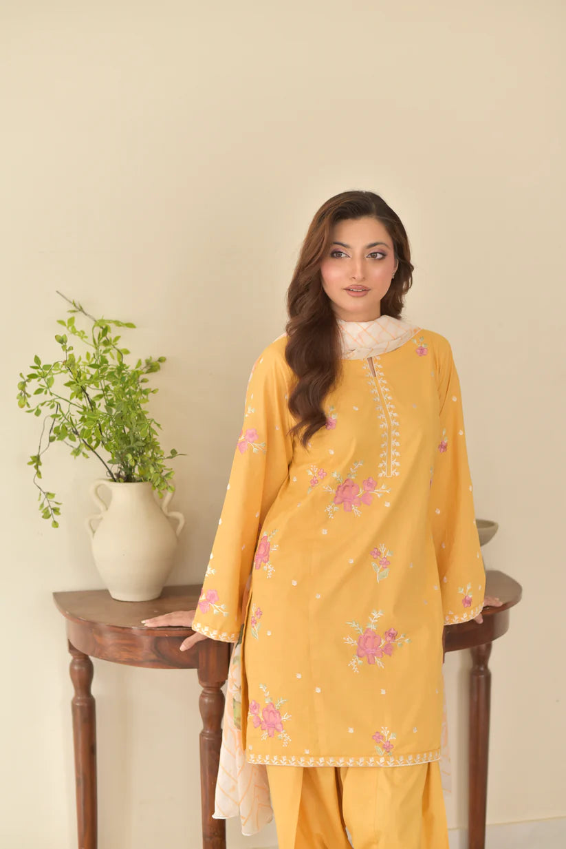 Kiran 3pcs (Farshi shalwar)