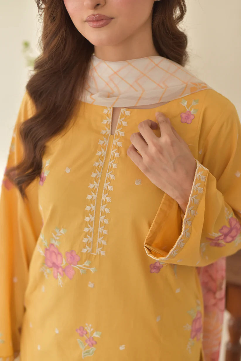 Kiran 3pcs (Farshi shalwar)