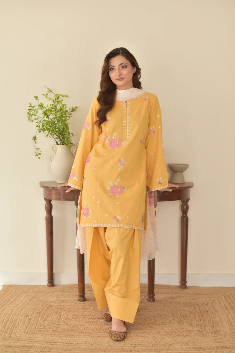 Kiran 3pcs (Farshi shalwar)