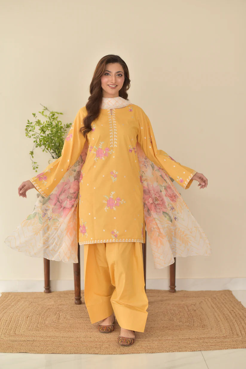 Kiran 3pcs (Farshi shalwar)